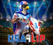 USA Flip